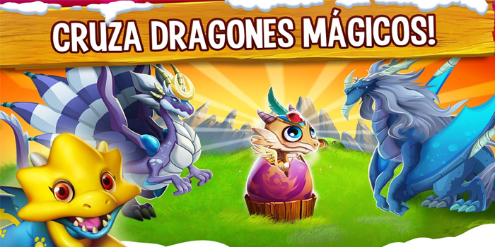 dragon city 