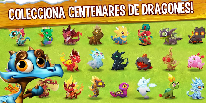 dragon city 
