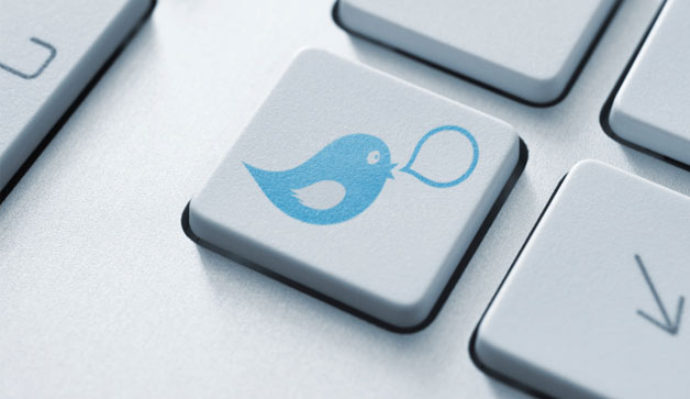 cuenta en la app de twitter