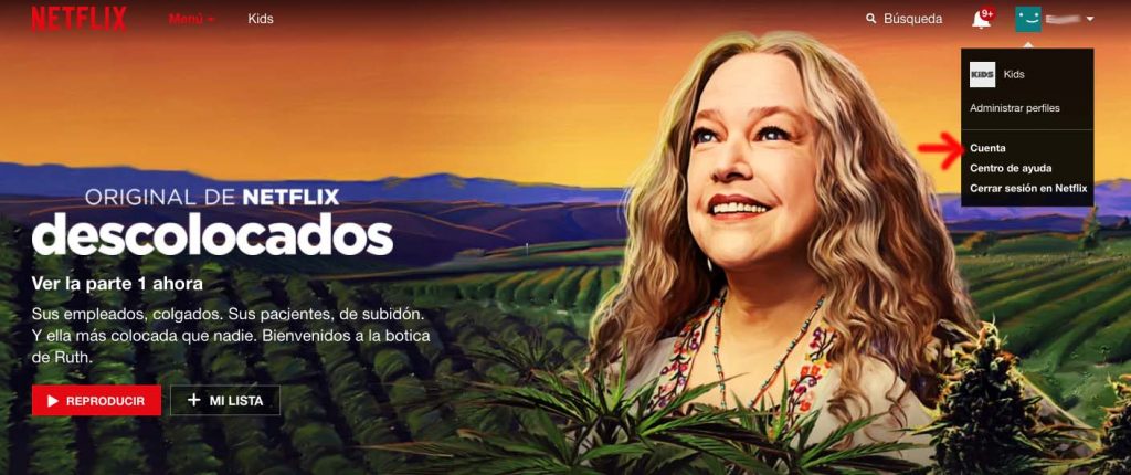 dar de baja netflix