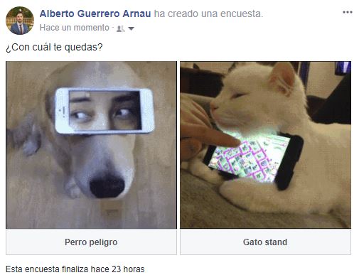 encuesta en facebook