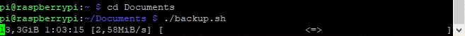 backup en raspberry pi desde putty